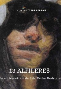13 Alfinetes