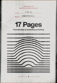 17 Pages
