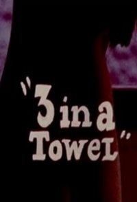 3 in a Towel
