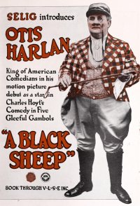 A Black Sheep