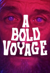 A Bold Voyage
