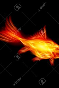 A Goldfish of the Flame