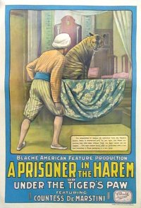 A Prisoner in the Harem