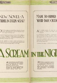 A Scream in the Night
