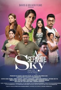 A Separate Sky
