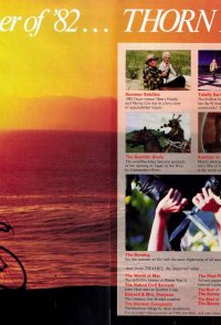 A Summer in Saint Tropez
