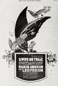 A Wife on Trial