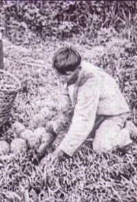 Amazonas, Maior Rio do Mundo