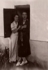 Angelos' film