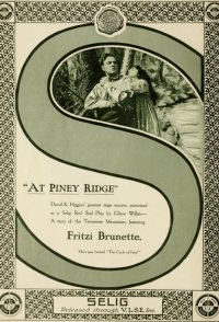 At Piney Ridge