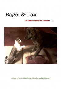 Bagel & Lax