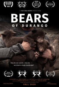 Bears of Durango