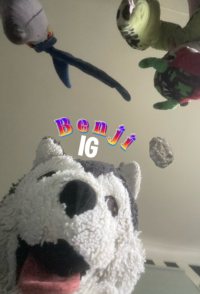 Benji IG: The Movie