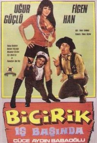 Bicirik Is Basinda