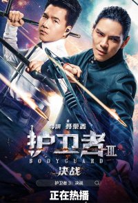 Bodyguard 3