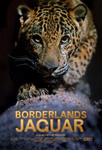 Borderlands Jaguar