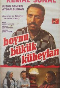 Boynu Bükük Küheylan