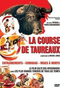 Bullfight