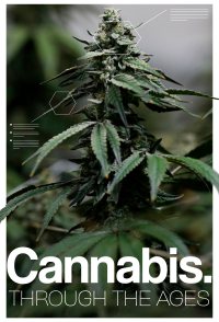 Cannabis: Through the Ages