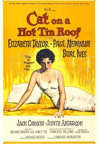 Cat on a Hot Tin Roof