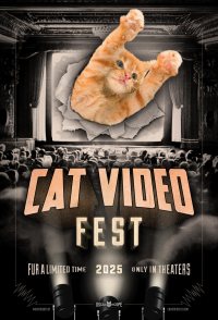 CatVideoFest 2025