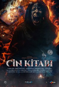 Cin Kitabi