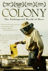 Colony