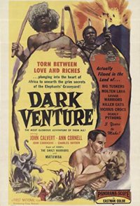 Dark Venture