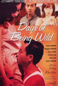 Days of Being Wild