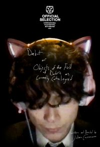 Debut, or, Objects of the Field of Debris as Currently Catalo...