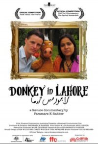 Donkey in Lahore