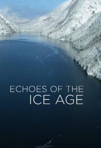 Echoes of the Ice Age