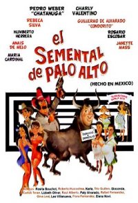 El semental de Palo Alto