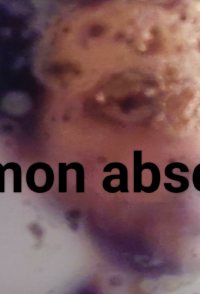 En mon absence