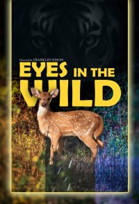 Eyes in the wild
