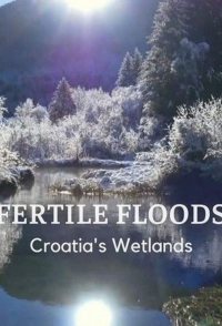 Fertile Floods: Croatia's Wetlands