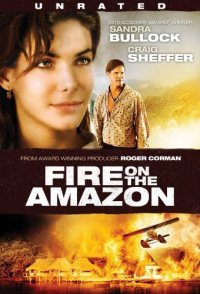 Fire on the Amazon