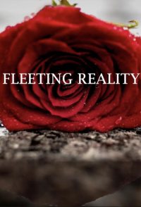 Fleeting Reality