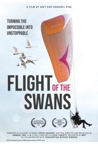 Flight of the Swans