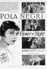 Flower of Night