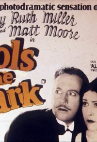 Fools in the Dark