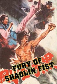 Fury of Shaolin Fist
