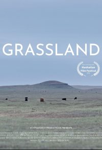 Grassland