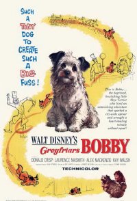 Greyfriars Bobby: The True Story of a Dog