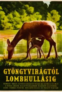 Gyöngyvirágtól lombhullásig