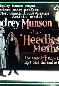 Heedless Moths