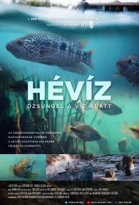 Hévíz: Dzsungel a víz alatt