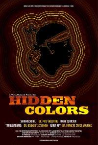 Hidden Colors