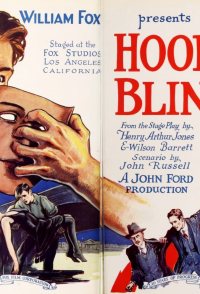 Hoodman Blind