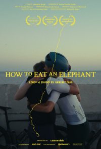 How to Eat an Elephant